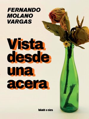 Vista desde una acera - ebook